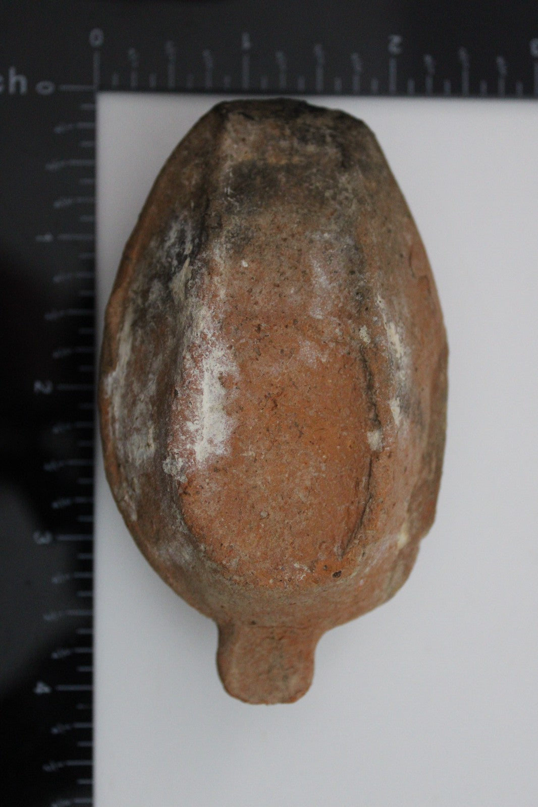 Holy Land Oil Lamp Ancient Artifact Time of the Christians 313-636 AD COA 214