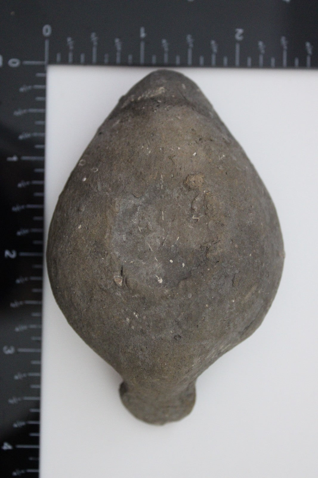 Holy Land Oil Lamp Ancient Artifact Time of the Christians 313-636 AD COA 176
