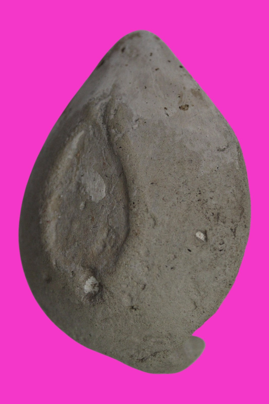 Holy Land Oil Lamp Ancient Artifact Time of the Christians 313-636 AD COA 191