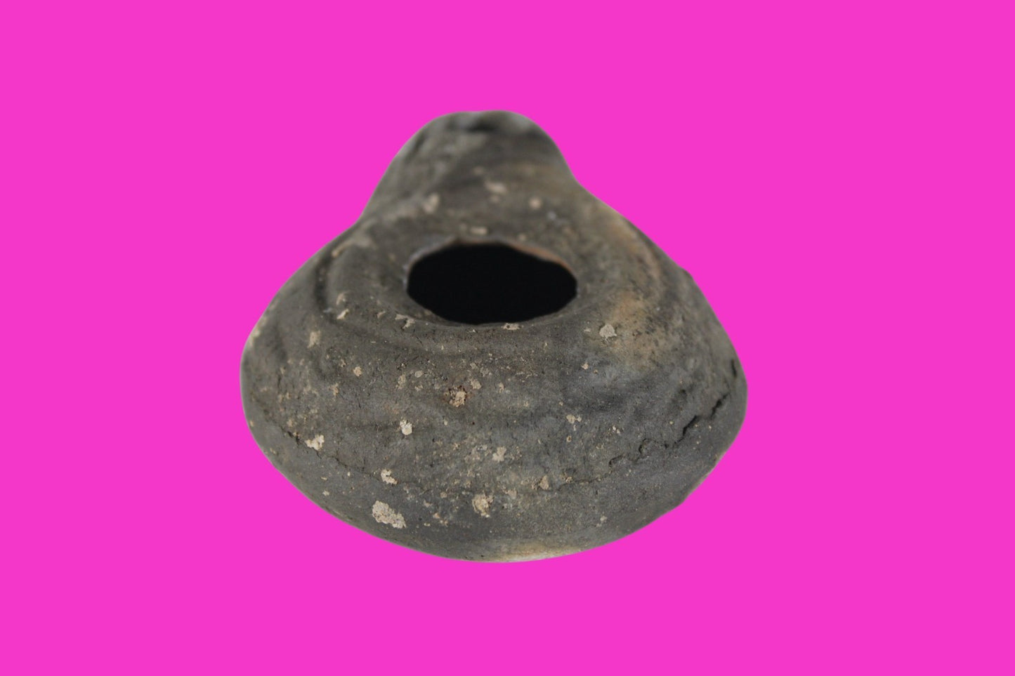 Holy Land Oil Lamp Ancient Artifact Time of Jesus & Apostles 63BC-323AD COA 149