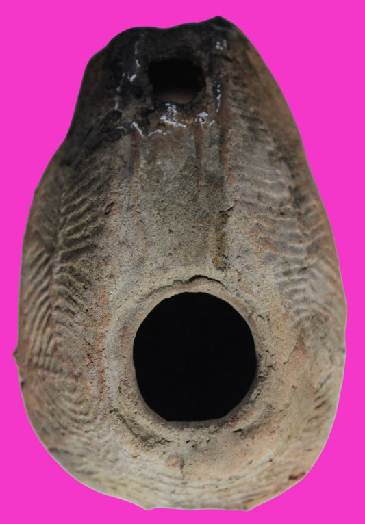 Oil Lamp Holy Land Ancient Artifact Jesus Christ Home Israel 300-600 AD COA 96
