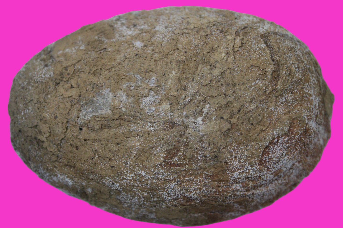 Time of the Christians Oil Lamp Ancient Holy Land Artifact 313-636 AD COA 23