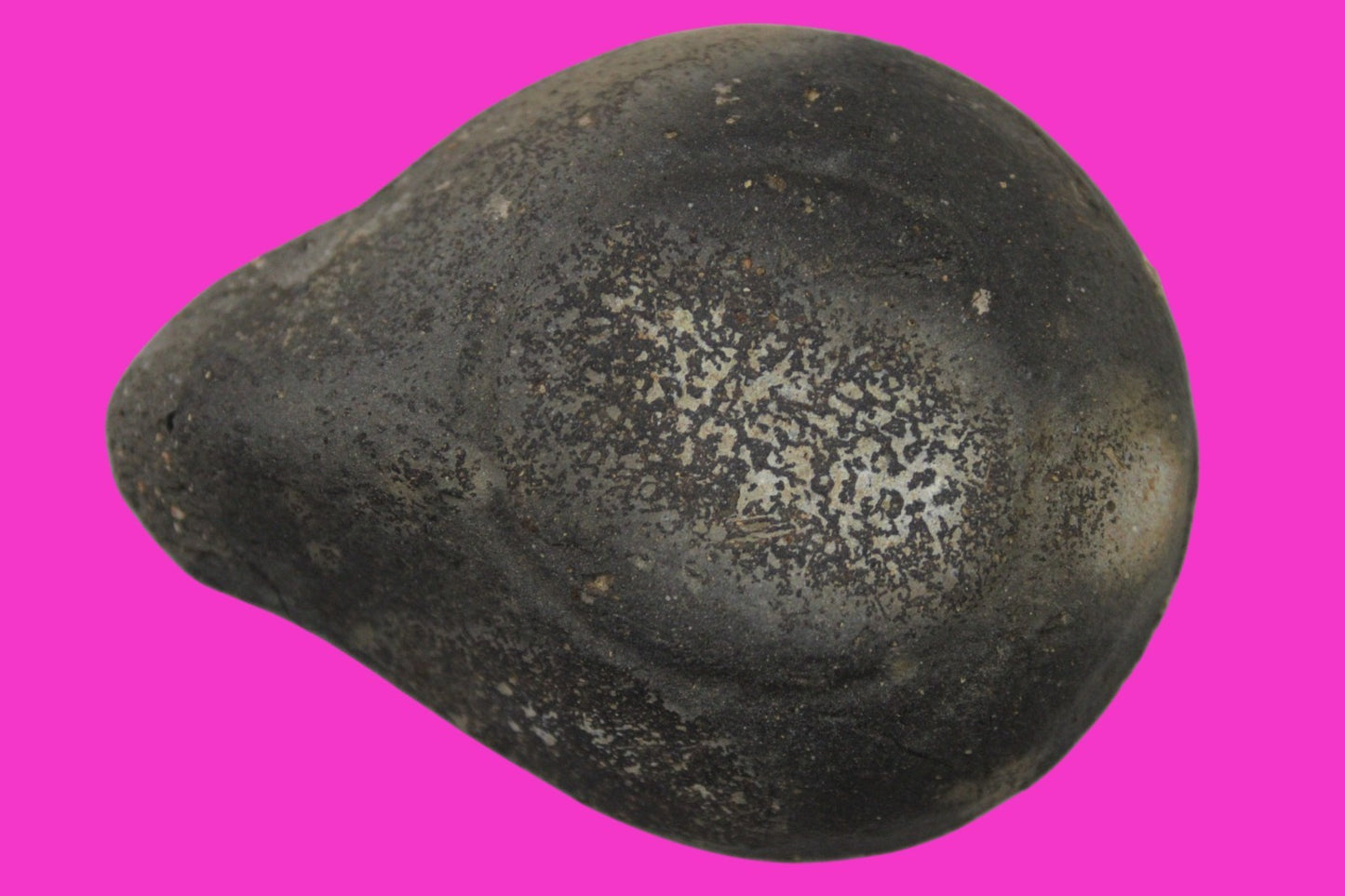 Holy Land Oil Lamp Ancient Artifact Time of Jesus & Apostles 63BC-323AD COA 149