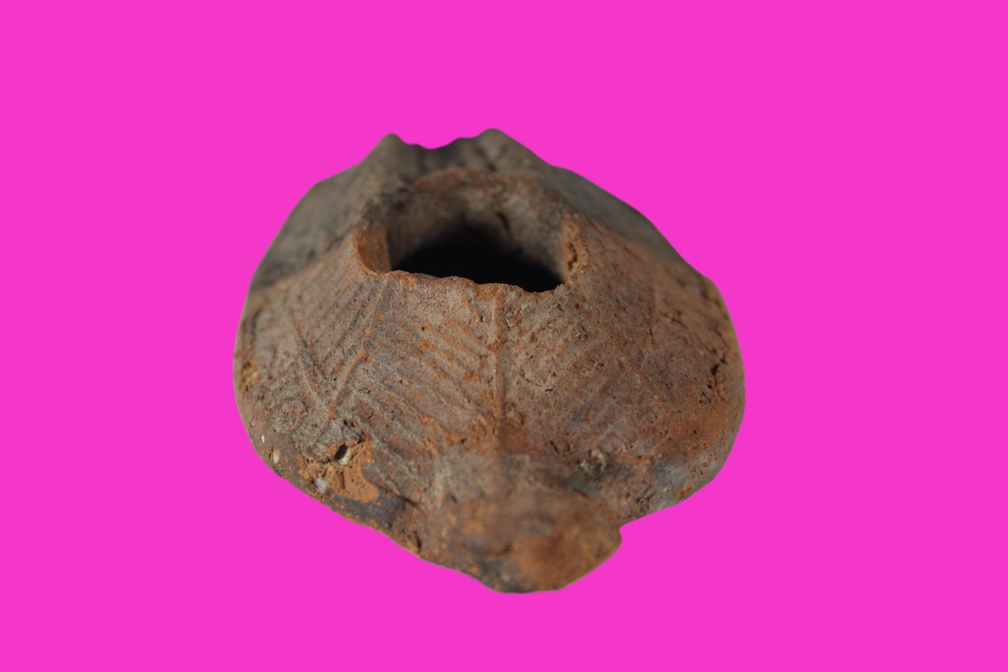 Oil Lamp Holy Land Ancient Artifact Jesus Christ Home Israel 300-600 AD COA 118