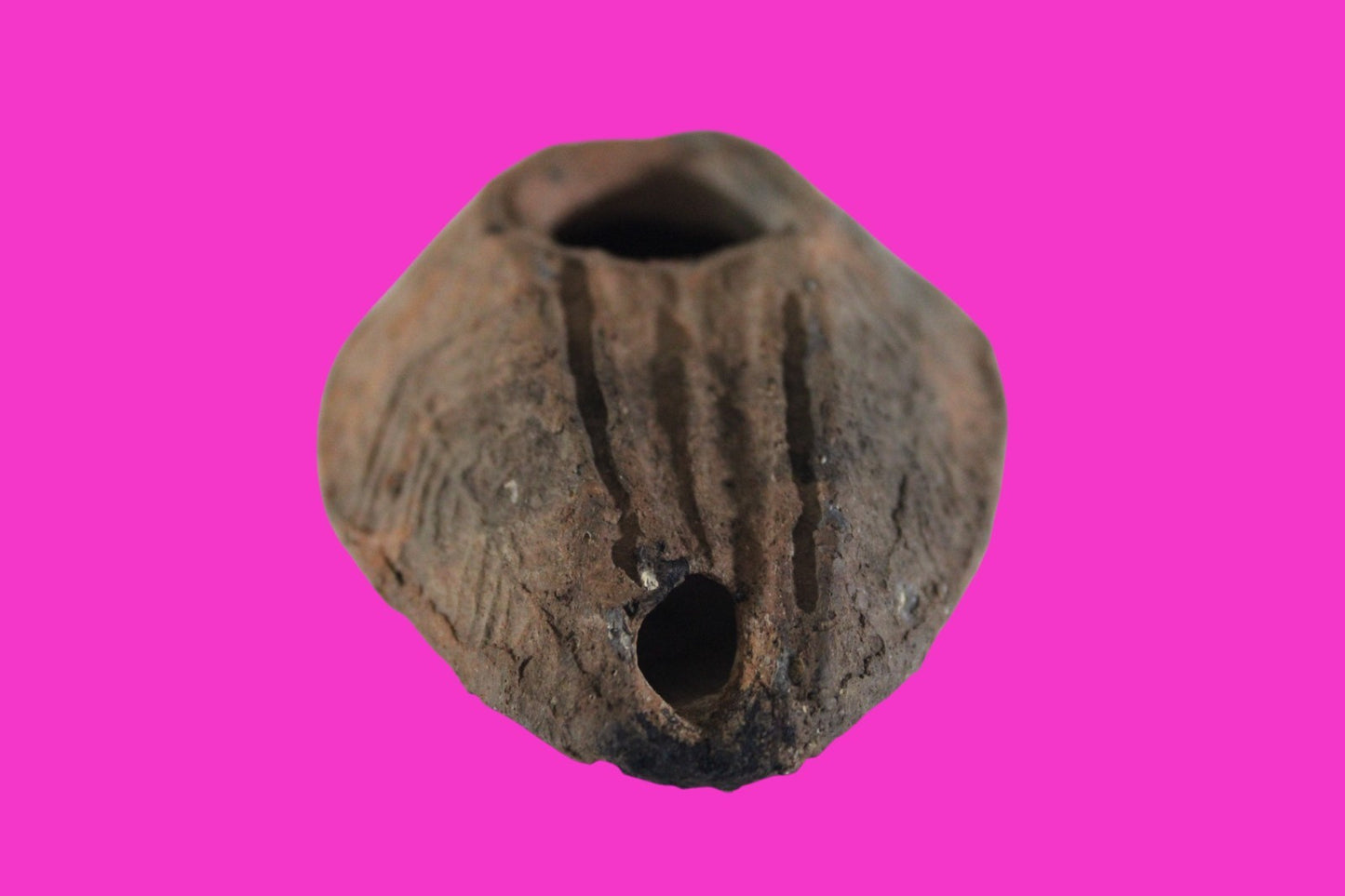 Oil Lamp Holy Land Ancient Artifact Jesus Christ Home Israel 300-600 AD COA 83