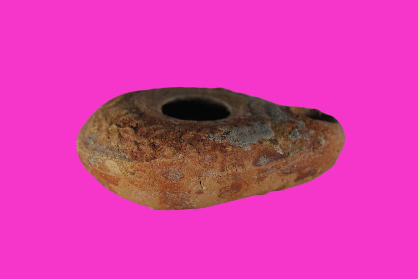 Ancient Holy Land Oil Lamp Artifact Jesus Christ Homeland 100BC-400AD COA 16