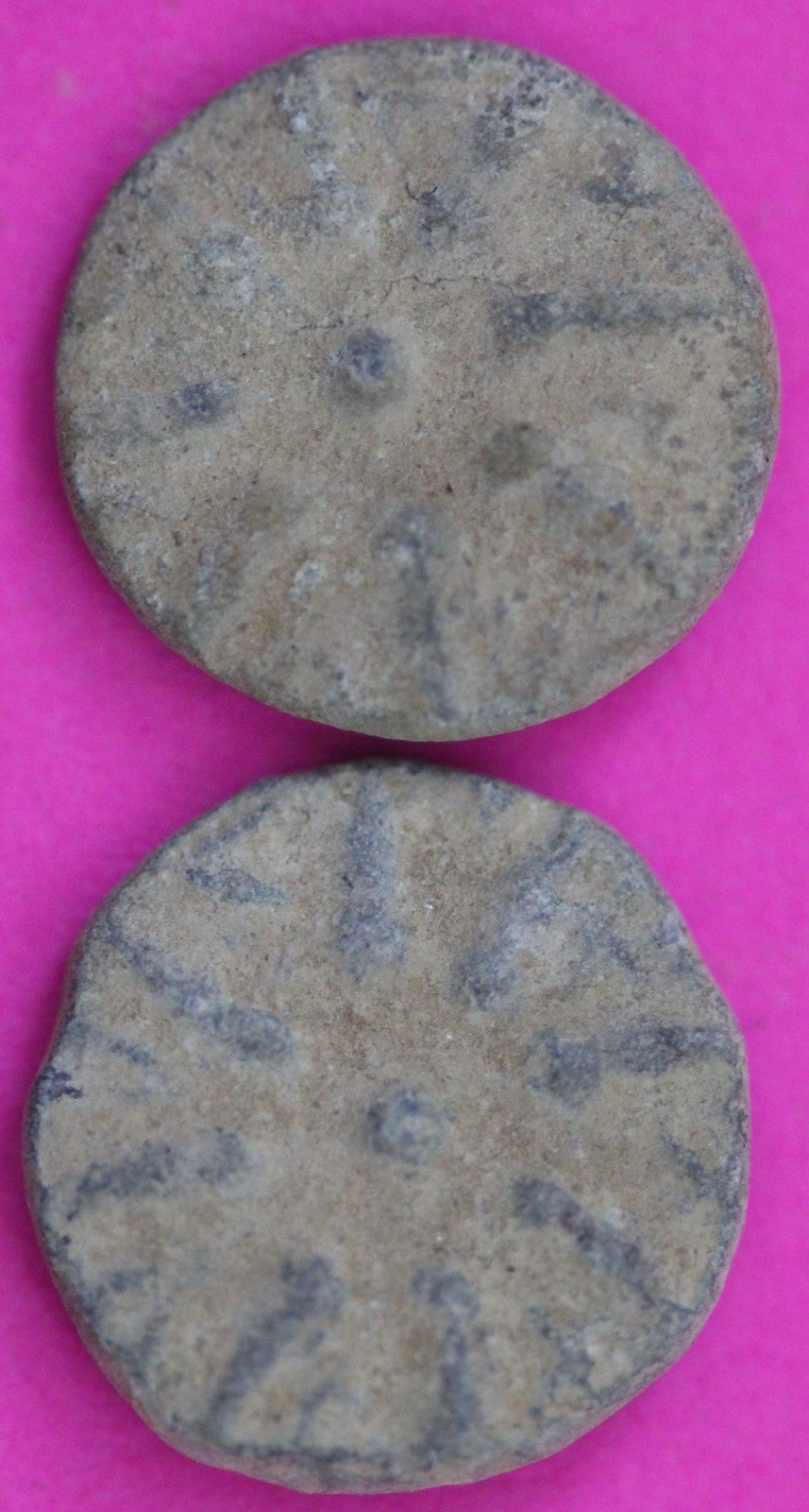 2 Small Widows Mite Coins Holy Land Artifacts Leptons Export Permit COA R957