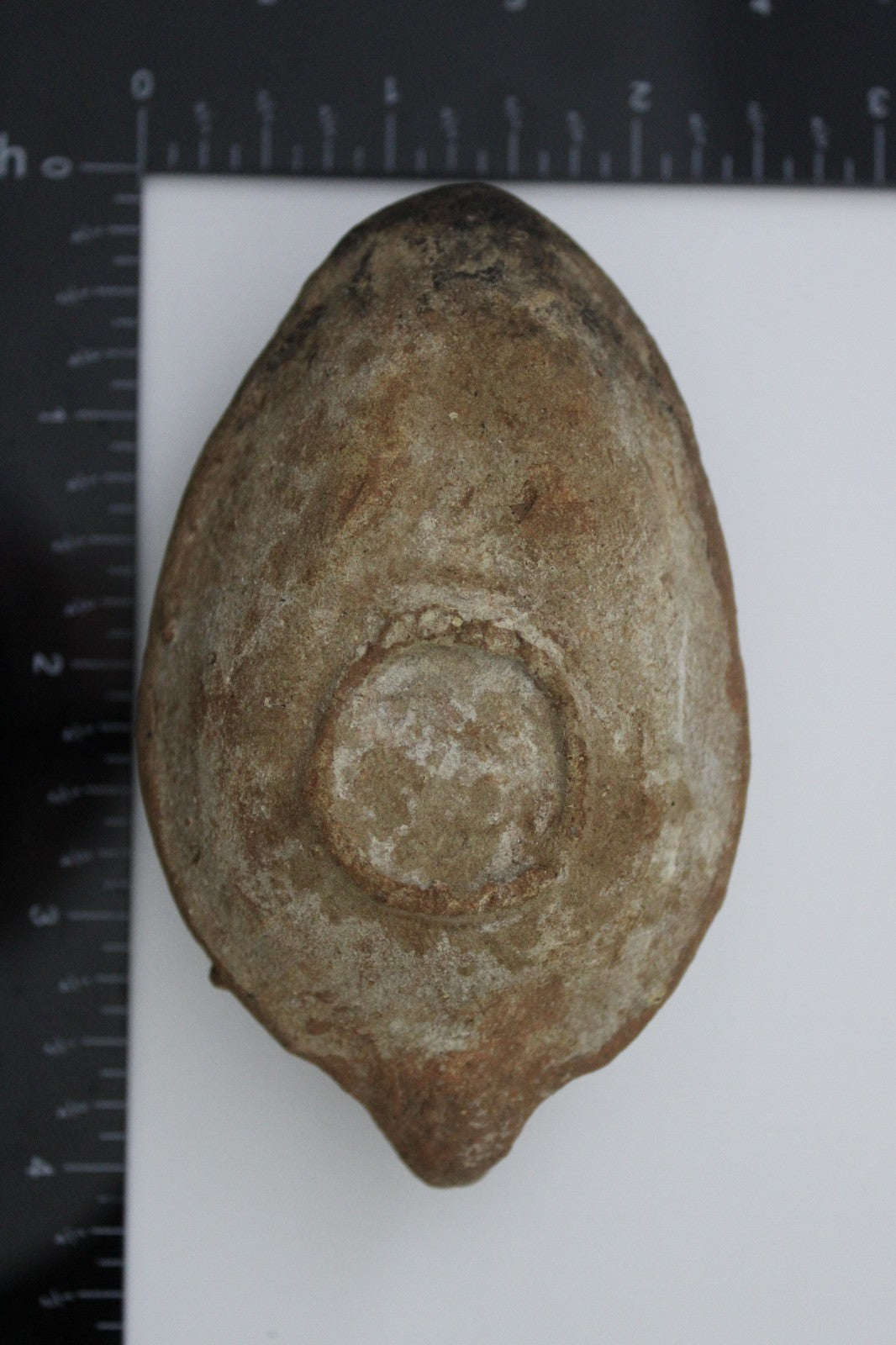 Holy Land Oil Lamp Ancient Artifact Time of the Christians 313-636 AD COA 210