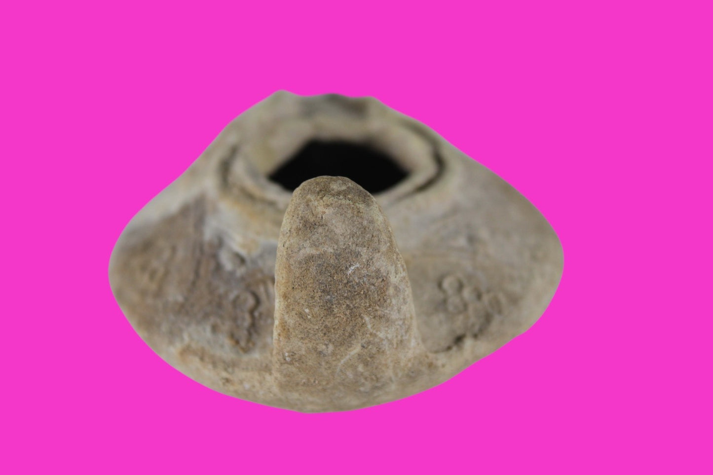 Holy Land Oil Lamp Ancient Artifact Time of the Christians 313-636 AD COA 184