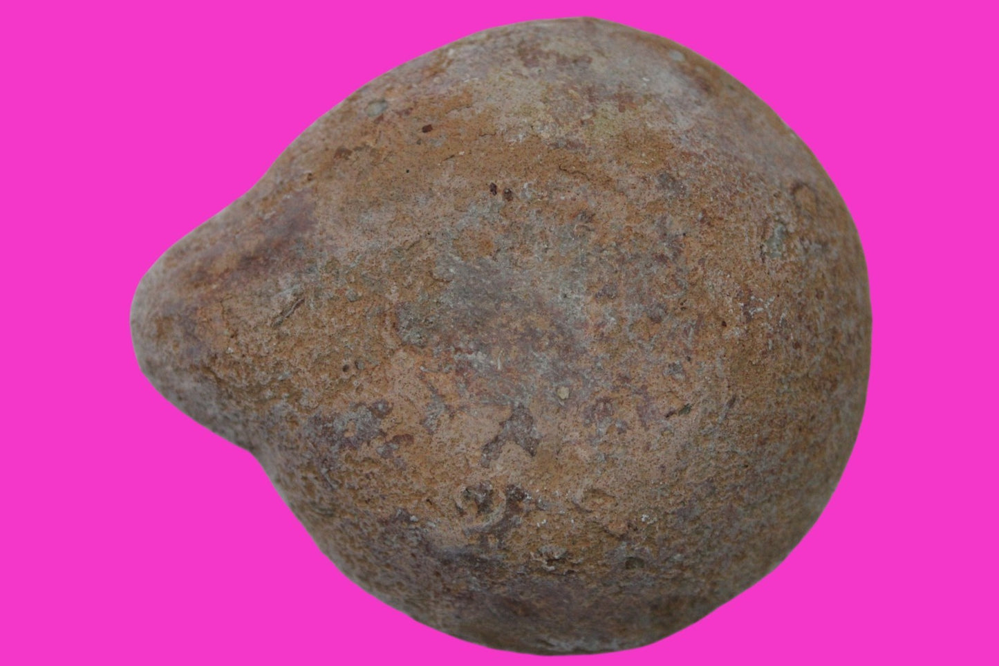Holy Land Oil Lamp Ancient Artifact Time of Jesus & Apostles 63BC-323AD COA 161