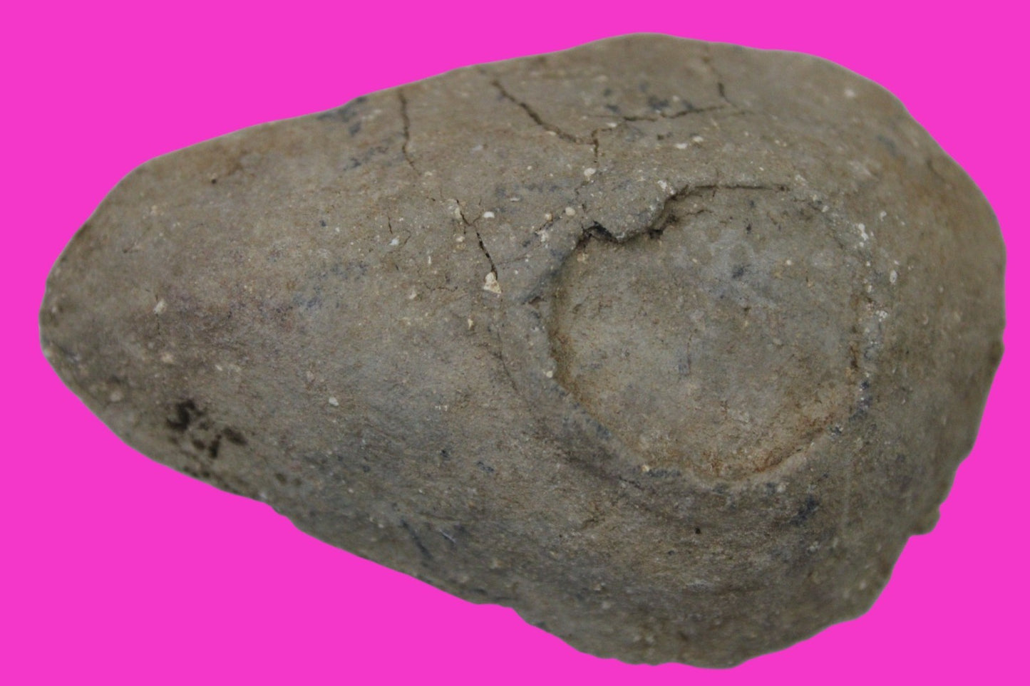 Holy Land Oil Lamp Ancient Artifact Time of the Christians 313-636 AD COA 201