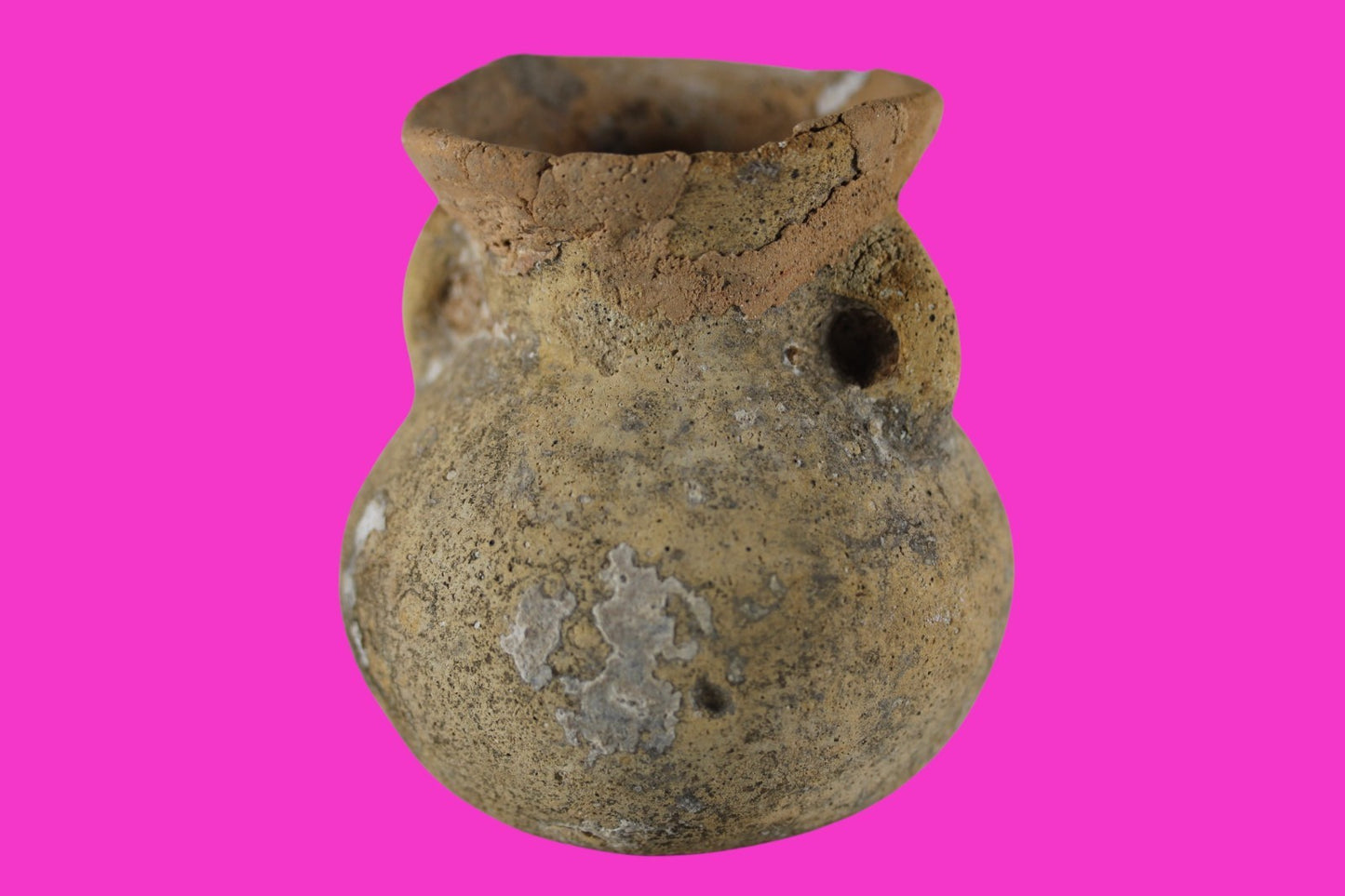 Time of Alexander the Great Holy Land Artifact Ancient Jar 332 BC-63 AD COA 91