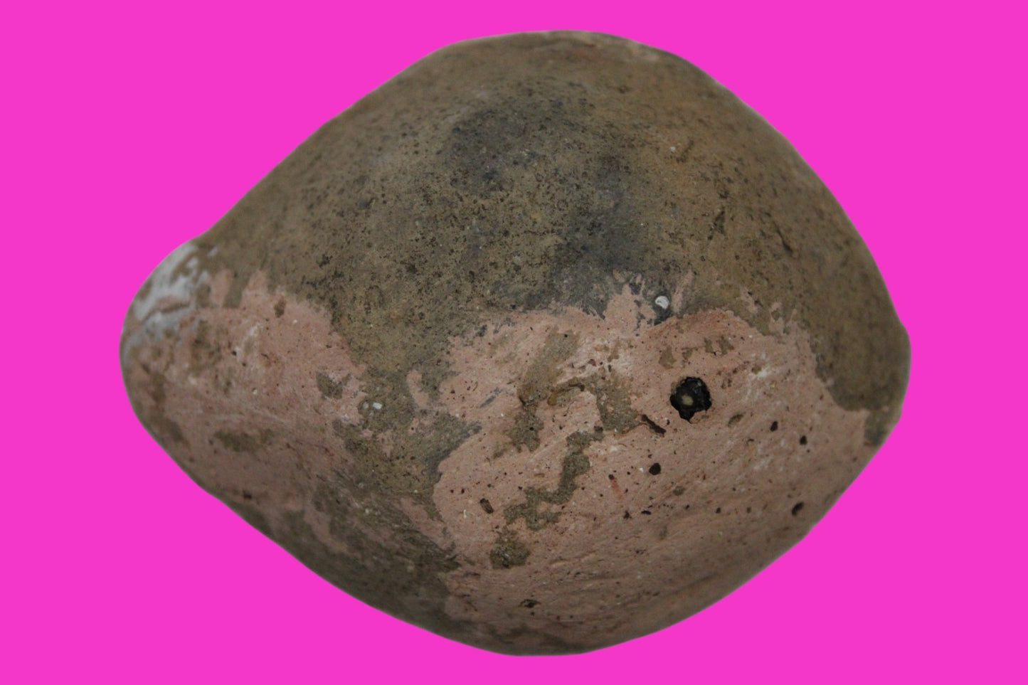 Holy Land Oil Lamp Ancient Artifact Time of Jesus & Apostles 63BC-323AD COA 62