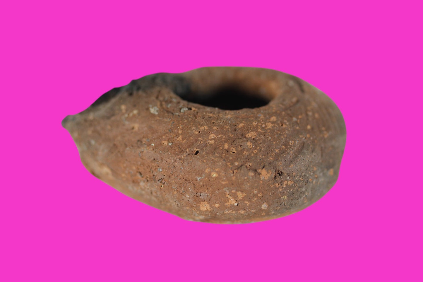 Holy Land Oil Lamp Ancient Artifact Time of Jesus & Apostles 63BC-323AD COA 146