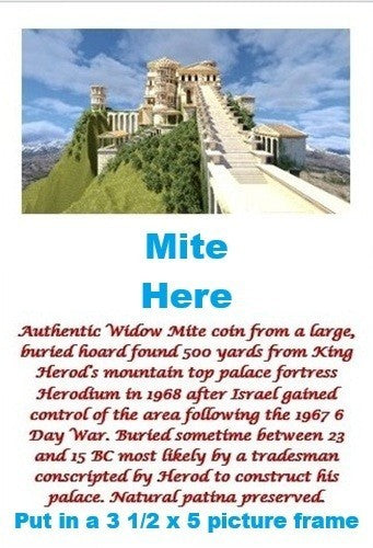 ORIGINAL Desert Patina Big Widows Mite Herods Hoard Holy Land Artifact COA A123