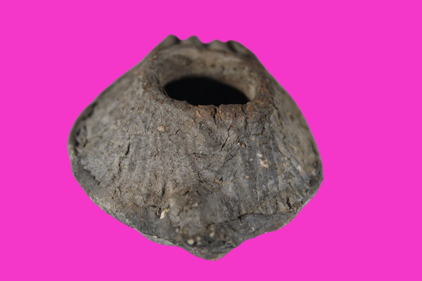 Oil Lamp Holy Land Ancient Artifact Jesus Christ Home Israel 300-600 AD COA 90
