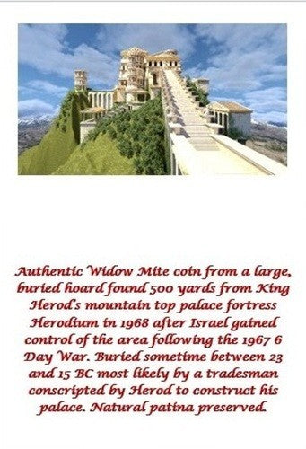 ORIGINAL Desert Patina Big Widows Mite Herods Hoard Holy Land Artifact COA A123