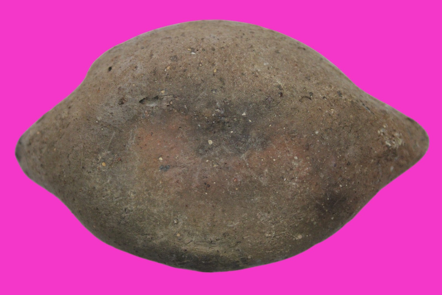 Holy Land Oil Lamp Ancient Artifact Time of Jesus & Apostles 63BC-323AD COA 154