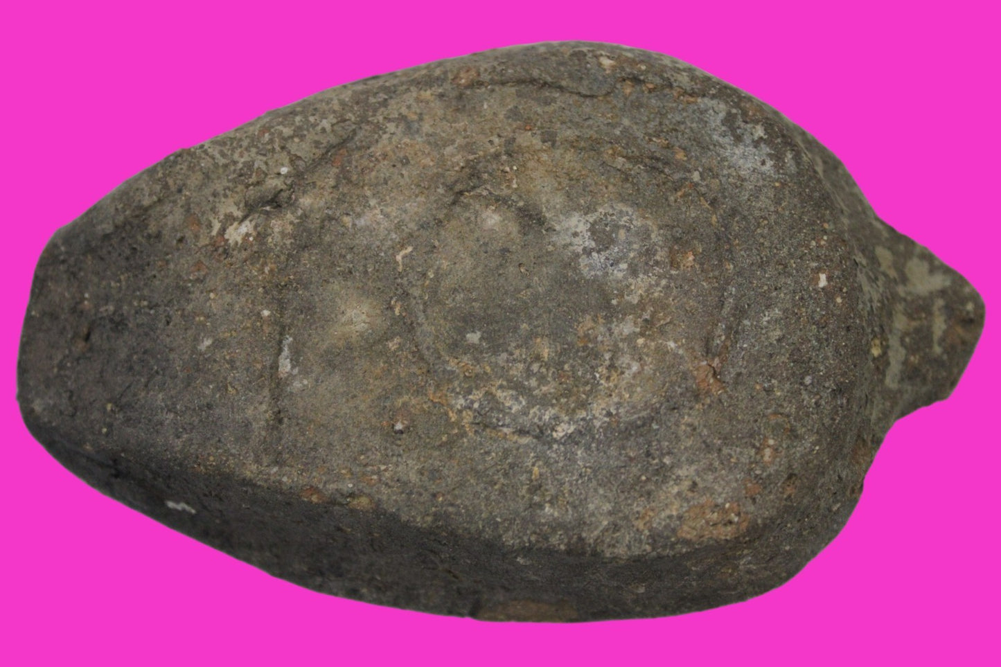 Holy Land Oil Lamp Ancient Artifact Time of the Christians 313-636 AD COA 59