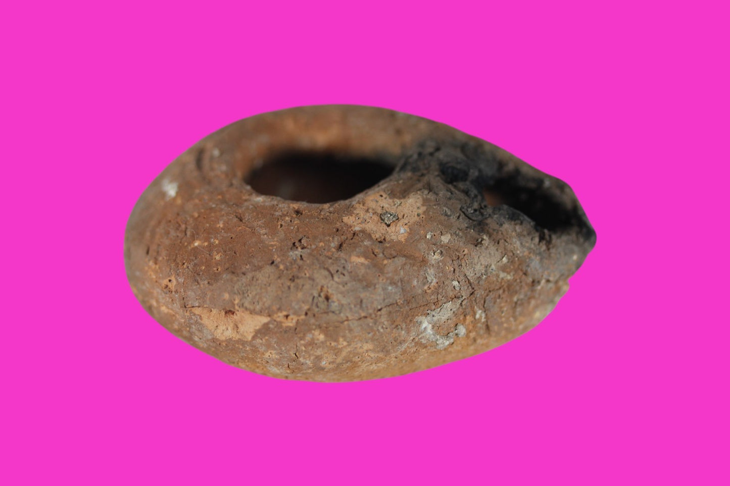 Holy Land Oil Lamp Ancient Artifact Time of Jesus & Apostles 63BC-323AD COA 146