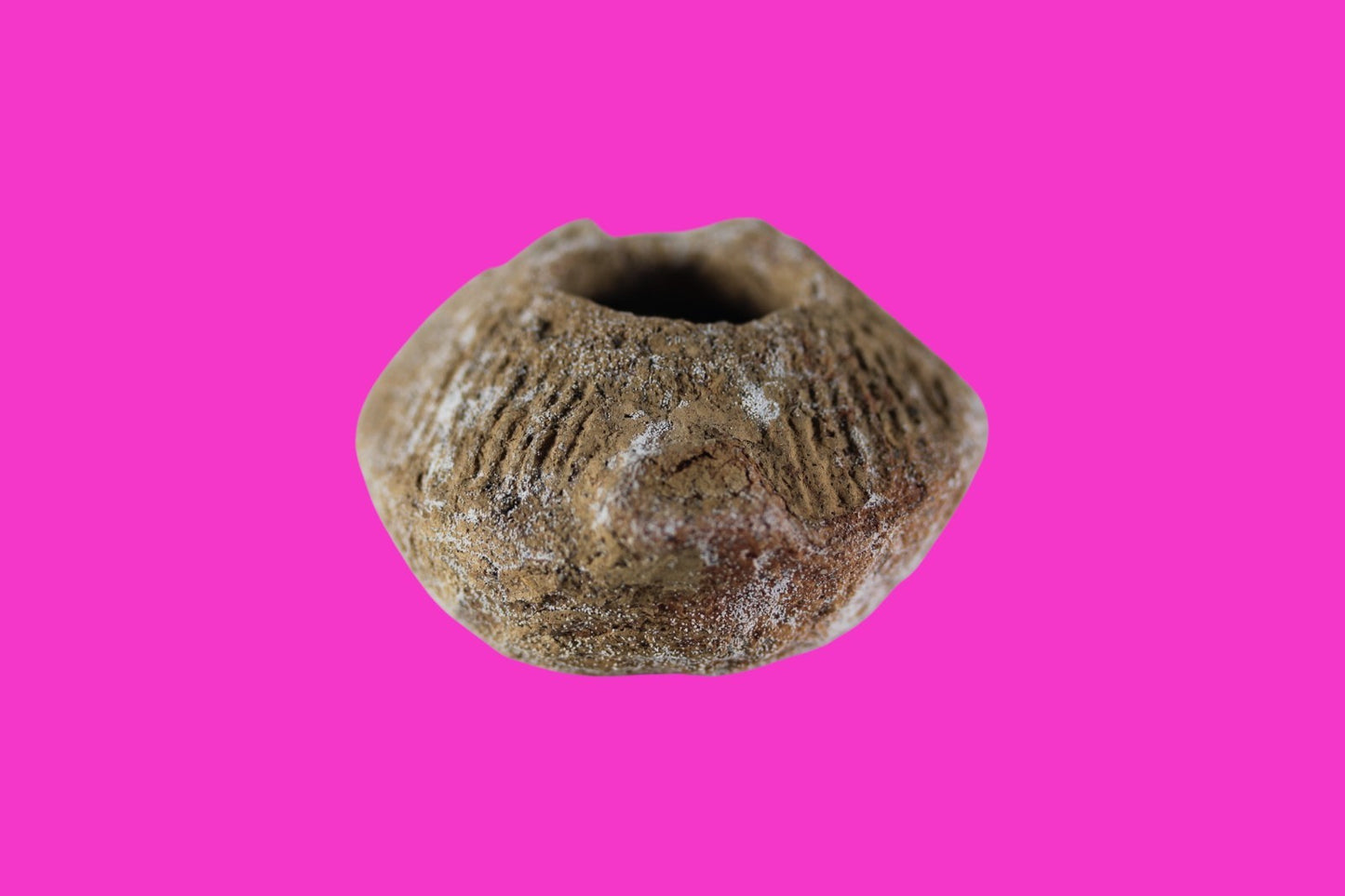 Time of the Christians Oil Lamp Ancient Holy Land Artifact 313-636 AD COA 23