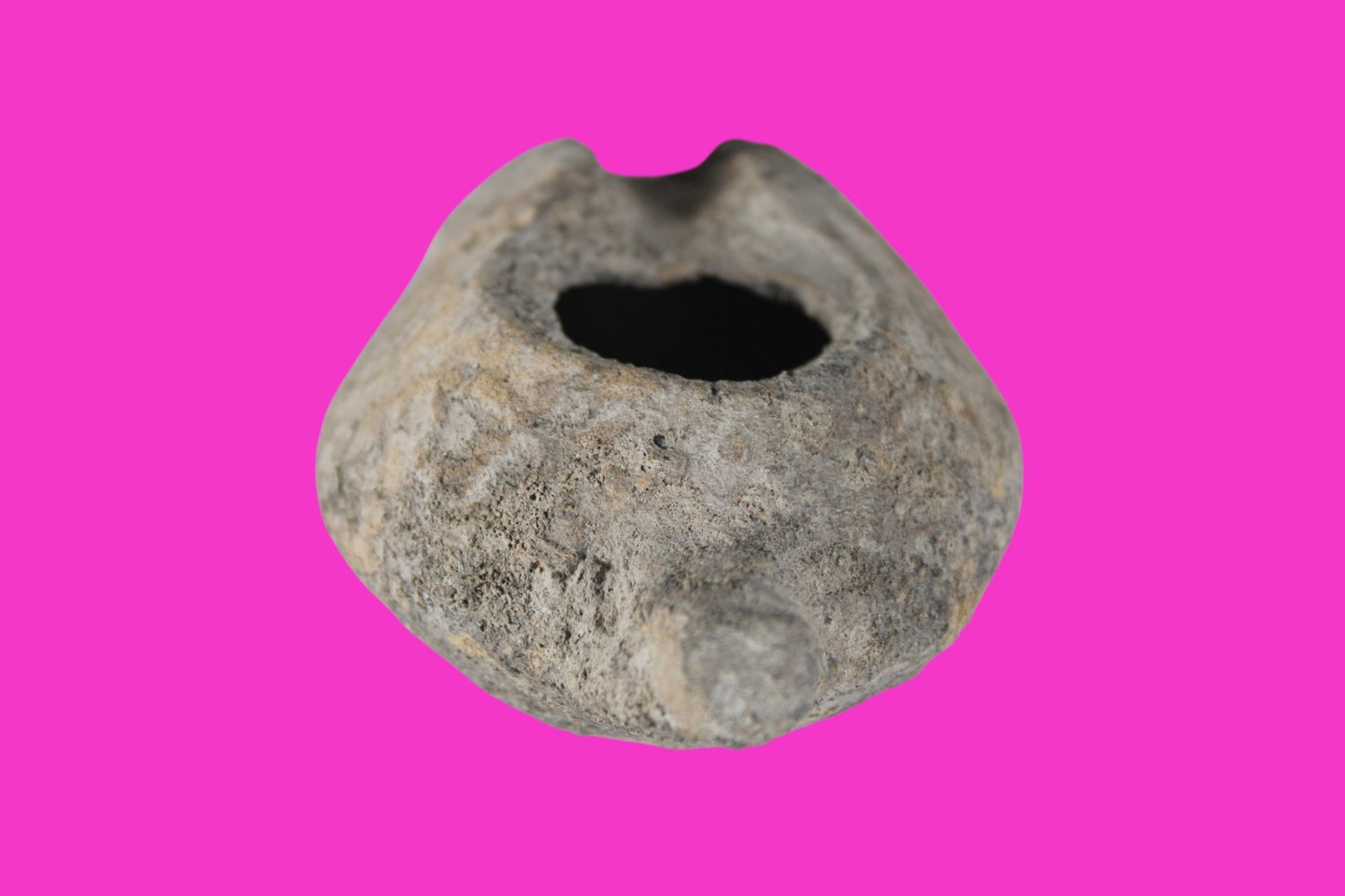 Holy Land Oil Lamp Ancient Artifact Time of the Christians 313-636 AD COA 220