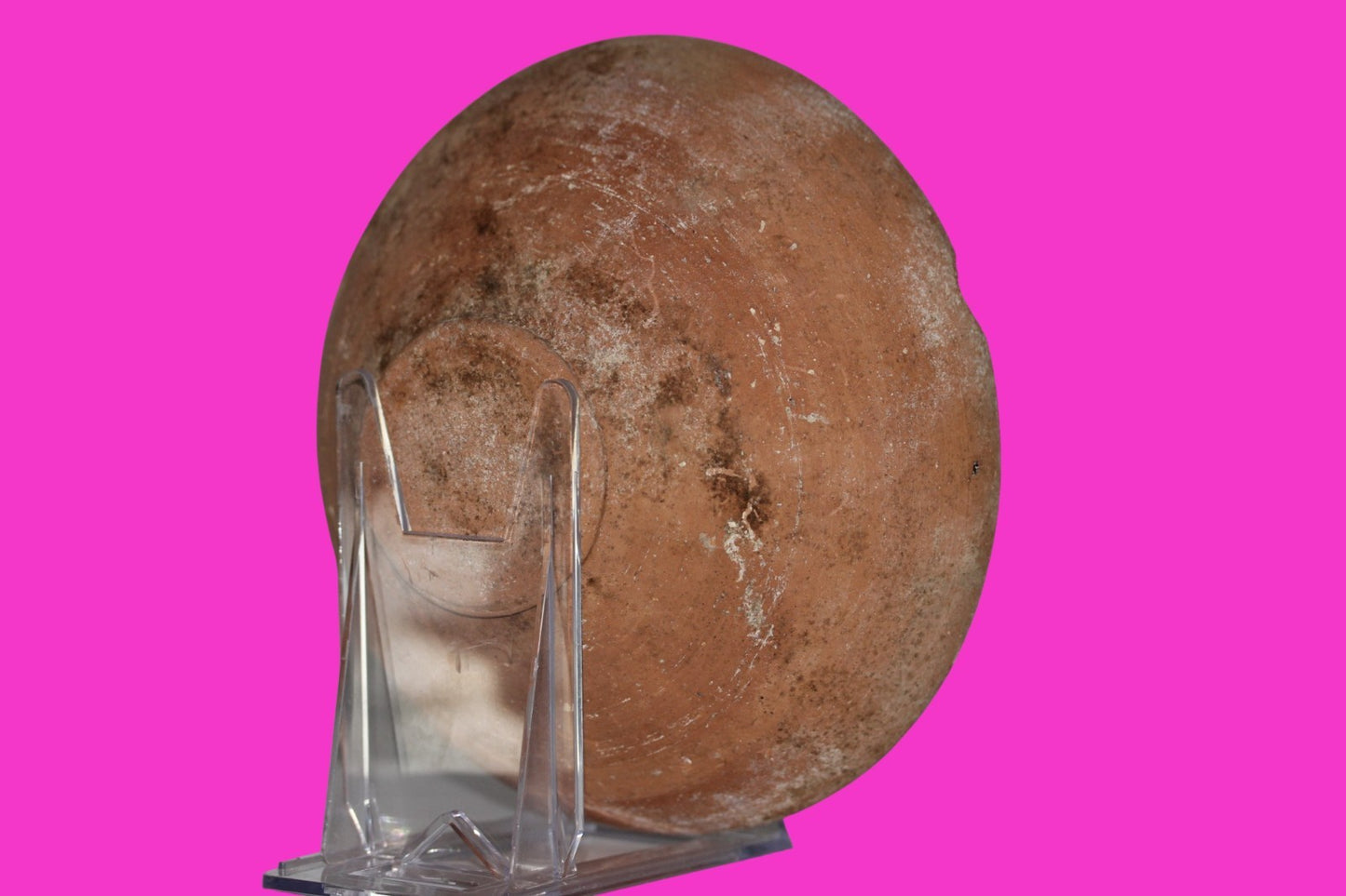 ORIGINAL Desert Patina Small Widows Mite Herod Hoard Holy Land Artifact COA A180