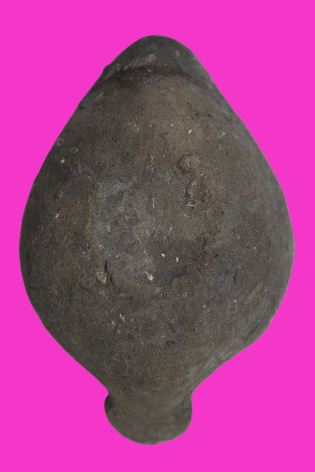 Holy Land Oil Lamp Ancient Artifact Time of the Christians 313-636 AD COA 176
