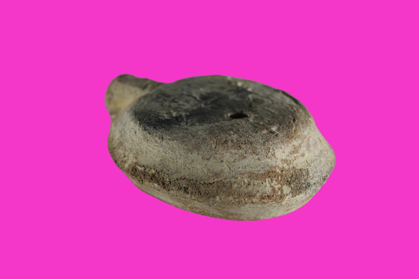 ORIGINAL Desert Patina Big Widows Mite Herods Hoard Holy Land Artifact COA A125