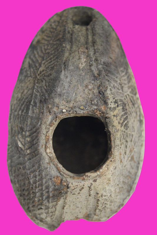 Time of the Christians Oil Lamp Ancient Holy Land Artifact 313-636 AD COA 15