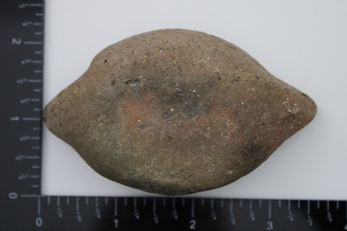 Holy Land Oil Lamp Ancient Artifact Time of Jesus & Apostles 63BC-323AD COA 154